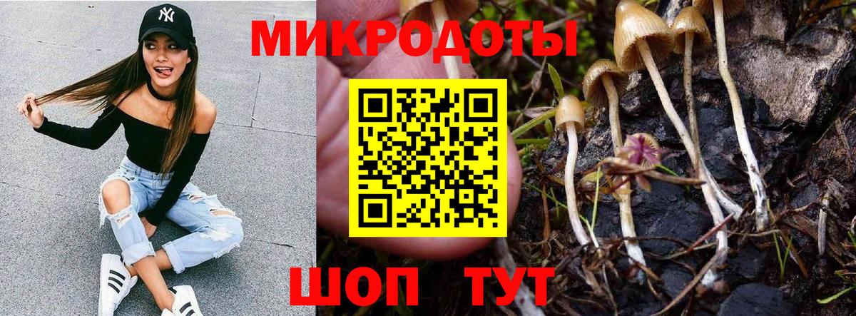 Галлюциногенные грибы MAGIC MUSHROOMS Чехов