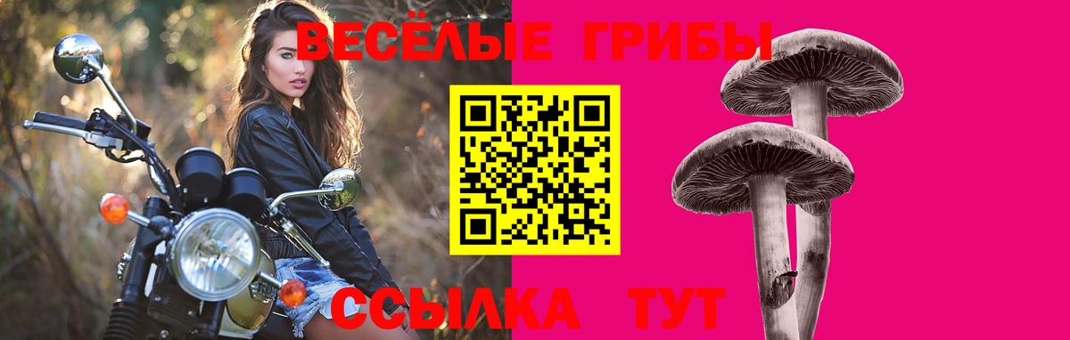 Галлюциногенные грибы мухоморы  Вход с VPN  Чехов 
