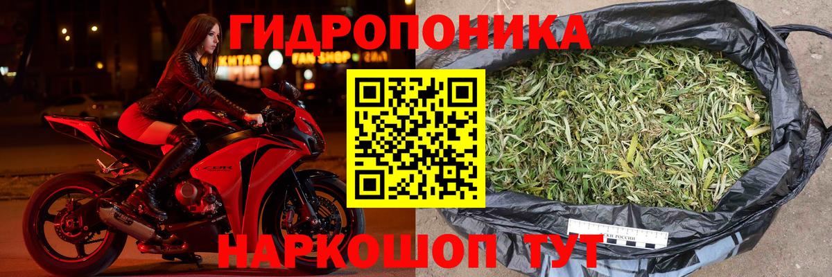 Канабис Bruce Banner  Вход с VPN  МАРИХУАНА гибрид  Каннабис Amnesia  Чехов 